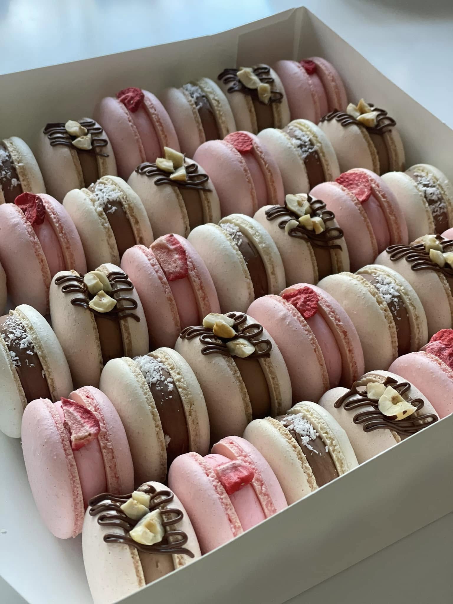 French macarons at Fox Bakery